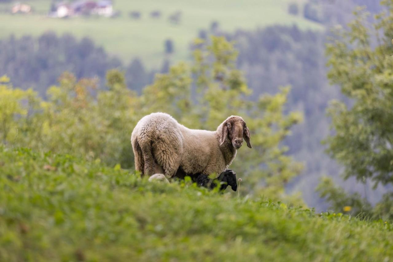 Oberplunerhof - Fewo Kronplatz Chienes Esterno foto